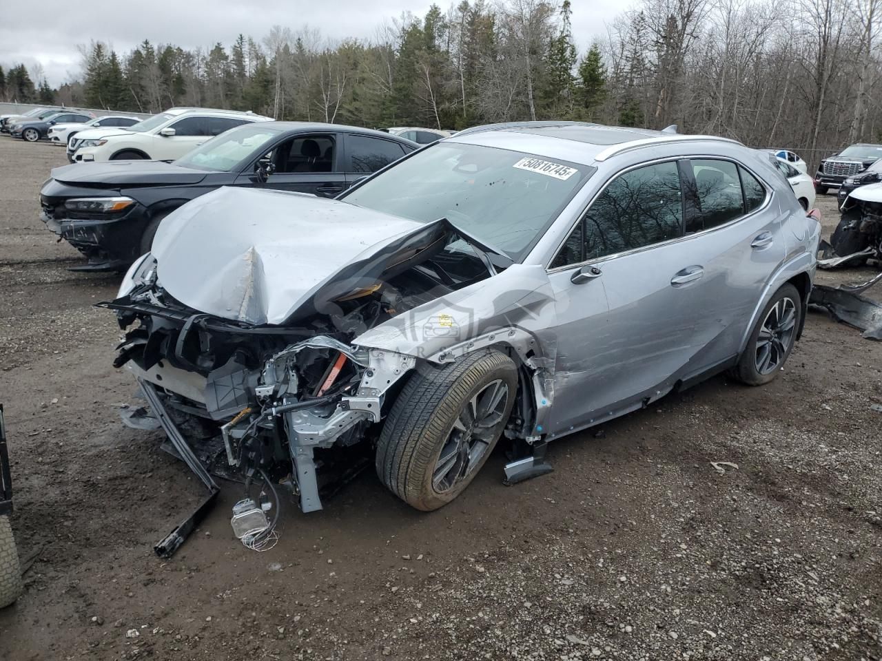 Lexus UX 300H BASE 2.0L 4 2025