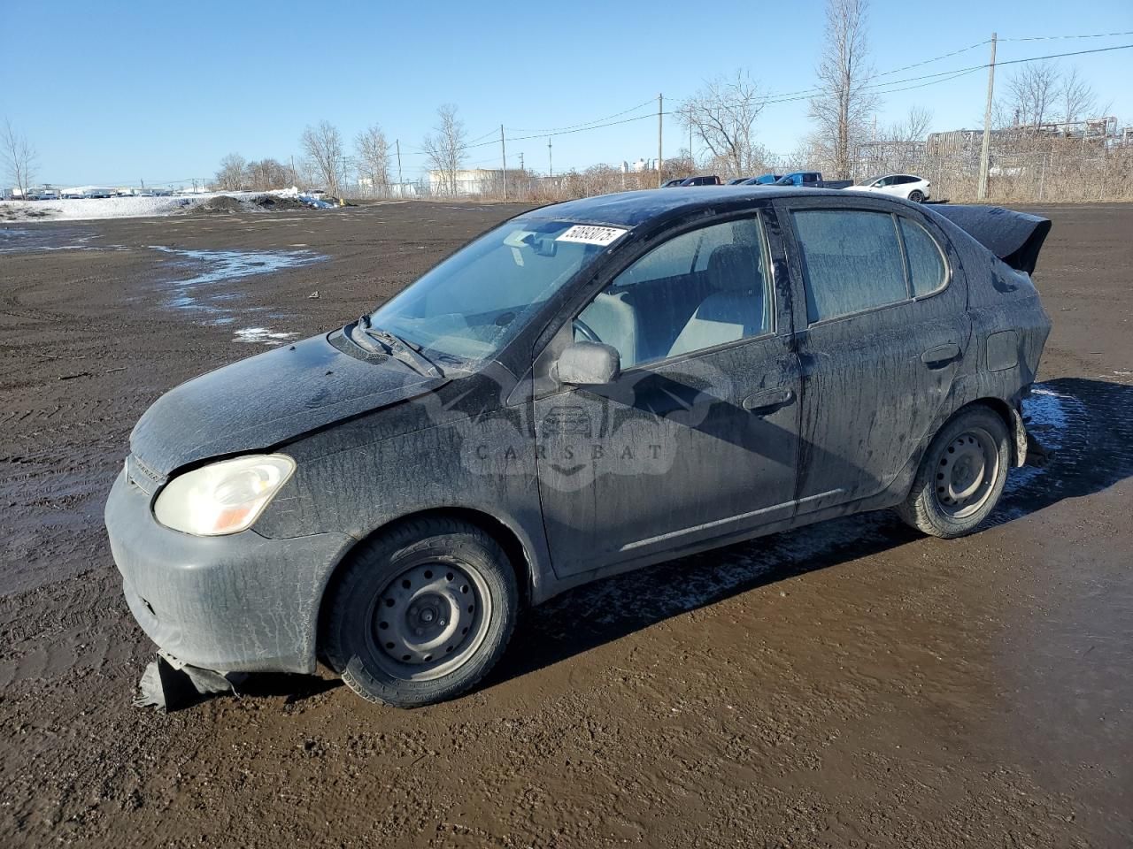 Toyota Echo 1.5L 4 2003