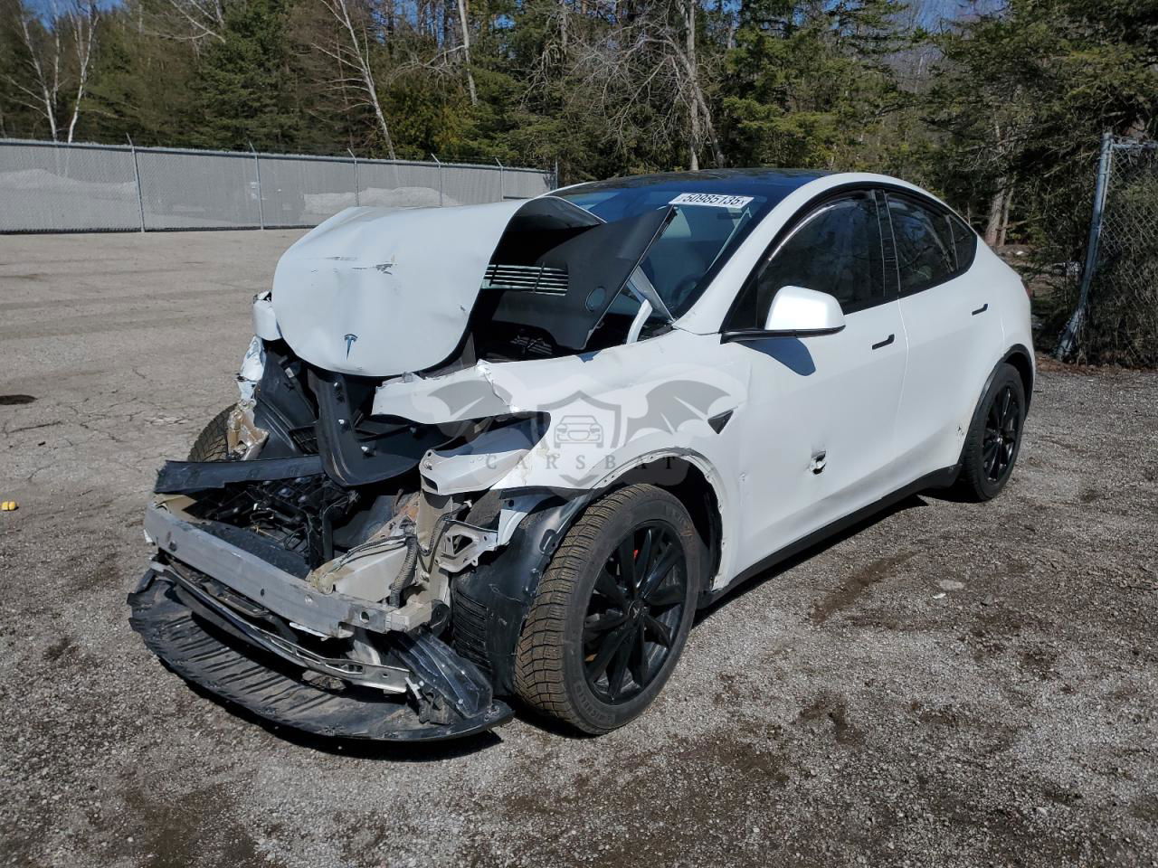 Tesla Model Y 2023