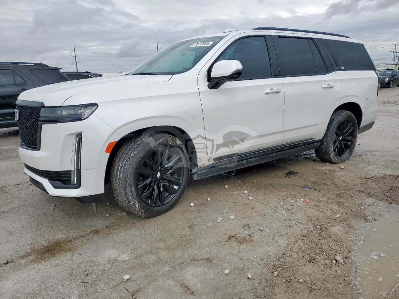 Cadillac Escalade SPORT PLATINUM 6.2L  8 2024