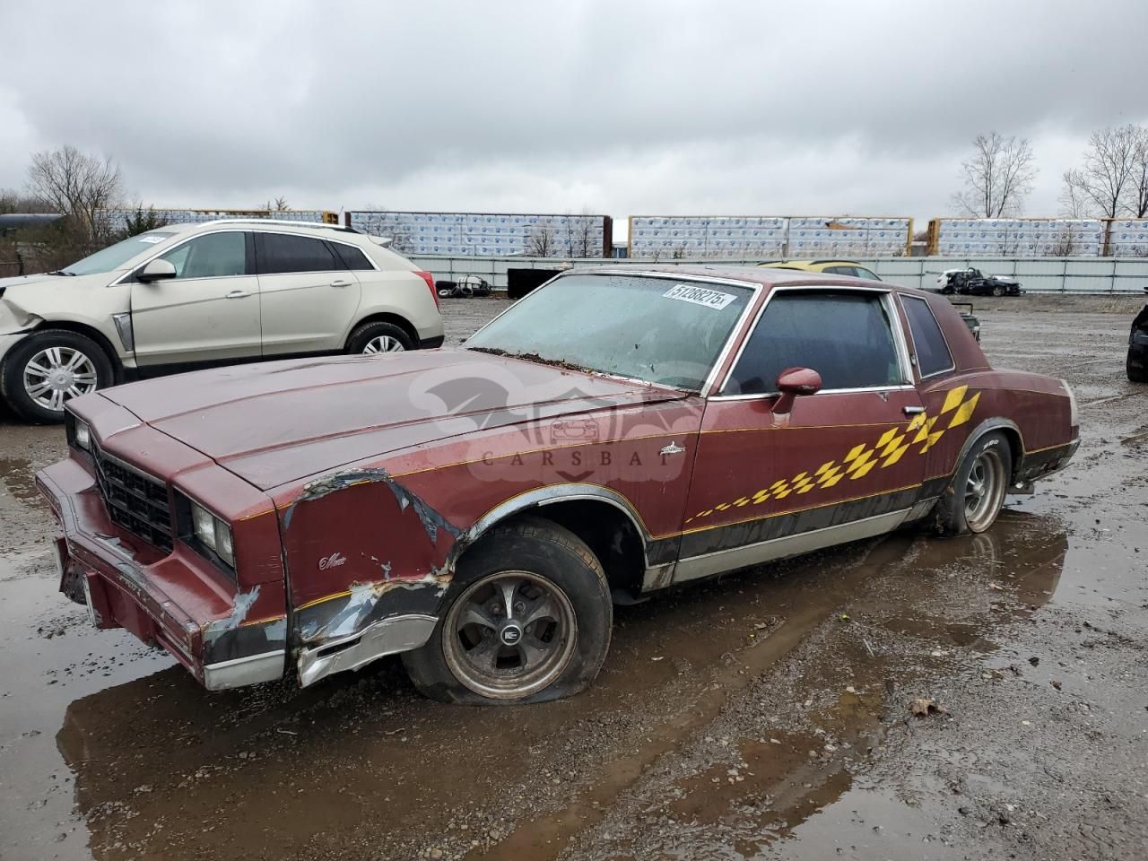 Chevrolet Monte Carlo 3.8L 6 1981