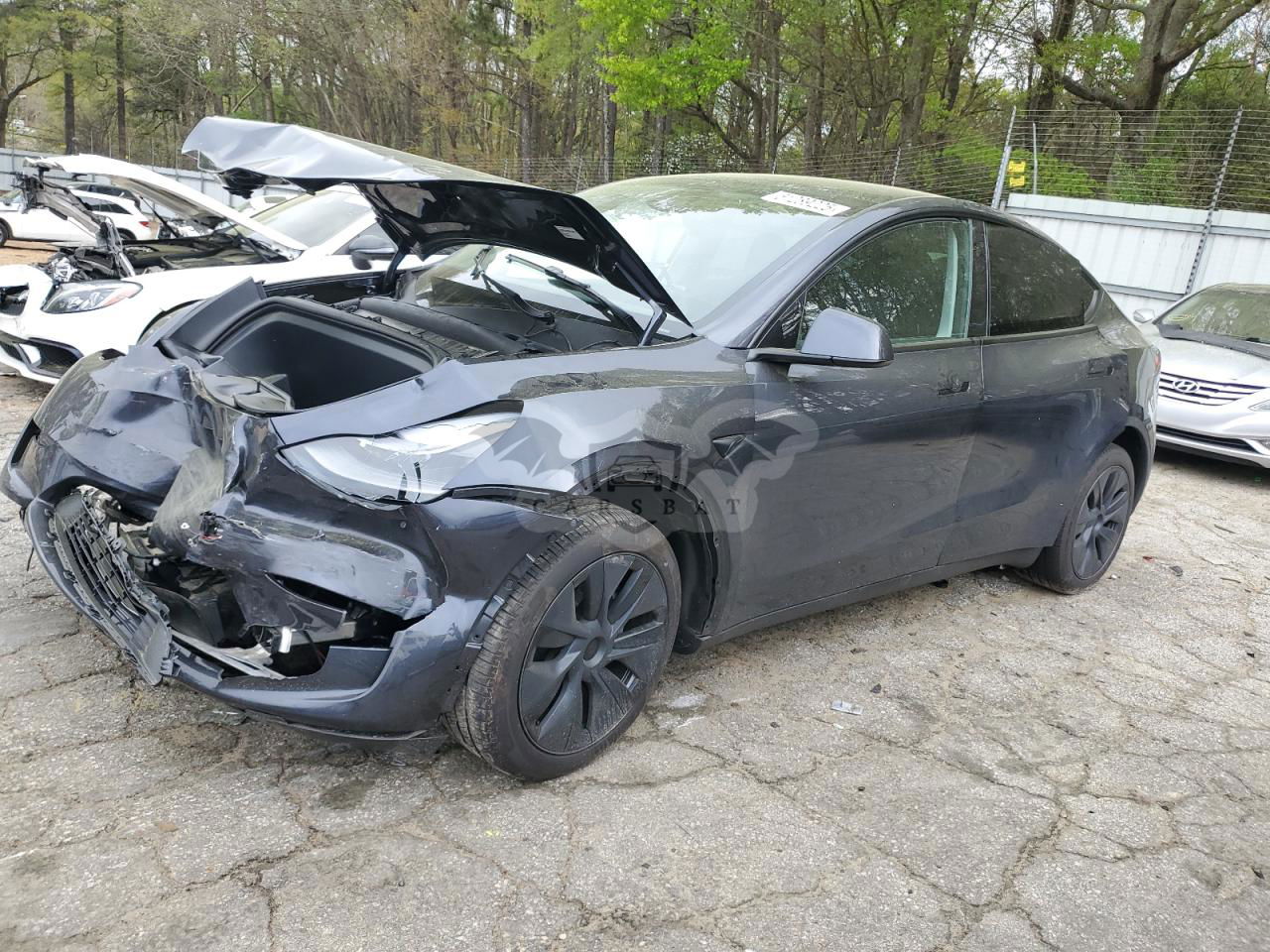 Tesla Model Y 2024
