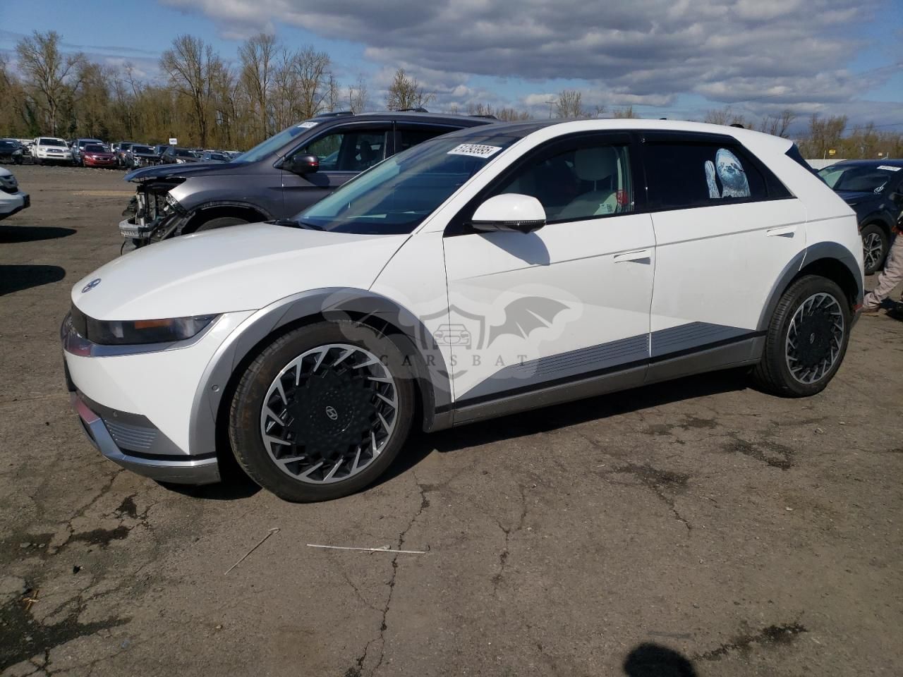 Hyundai IONIQ LIMITED 2024
