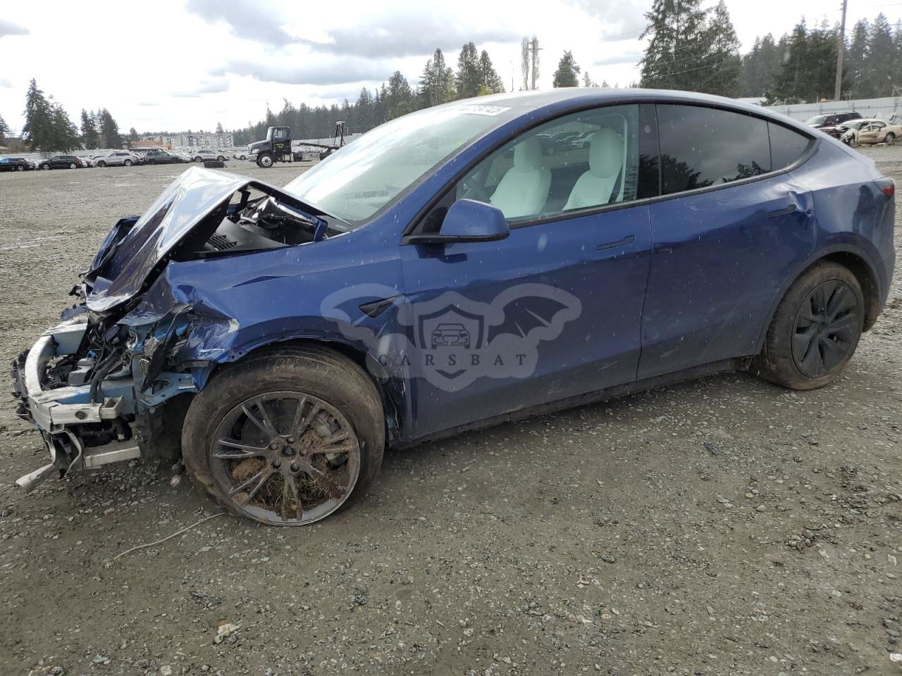 Tesla Model Y 2025