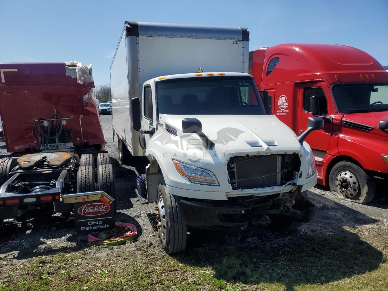 International MV Series 6.7L 6 2024