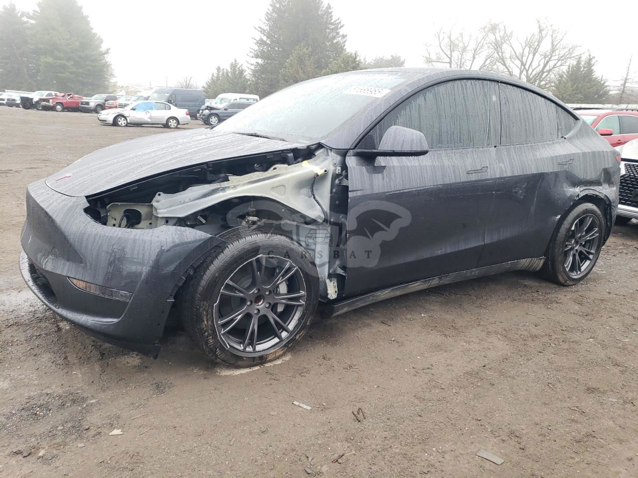 Tesla Model Y 2025