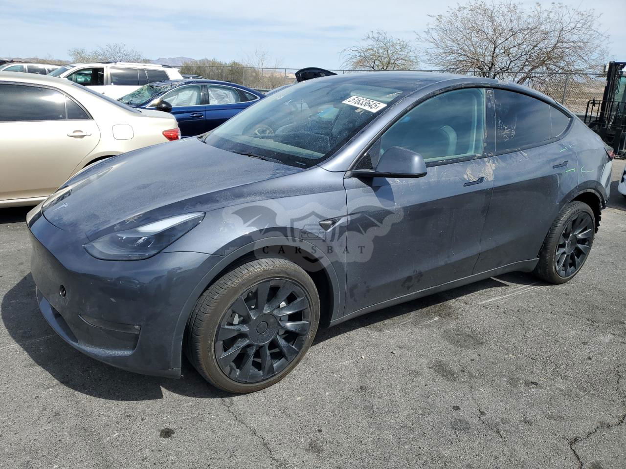 Tesla Model Y 2023