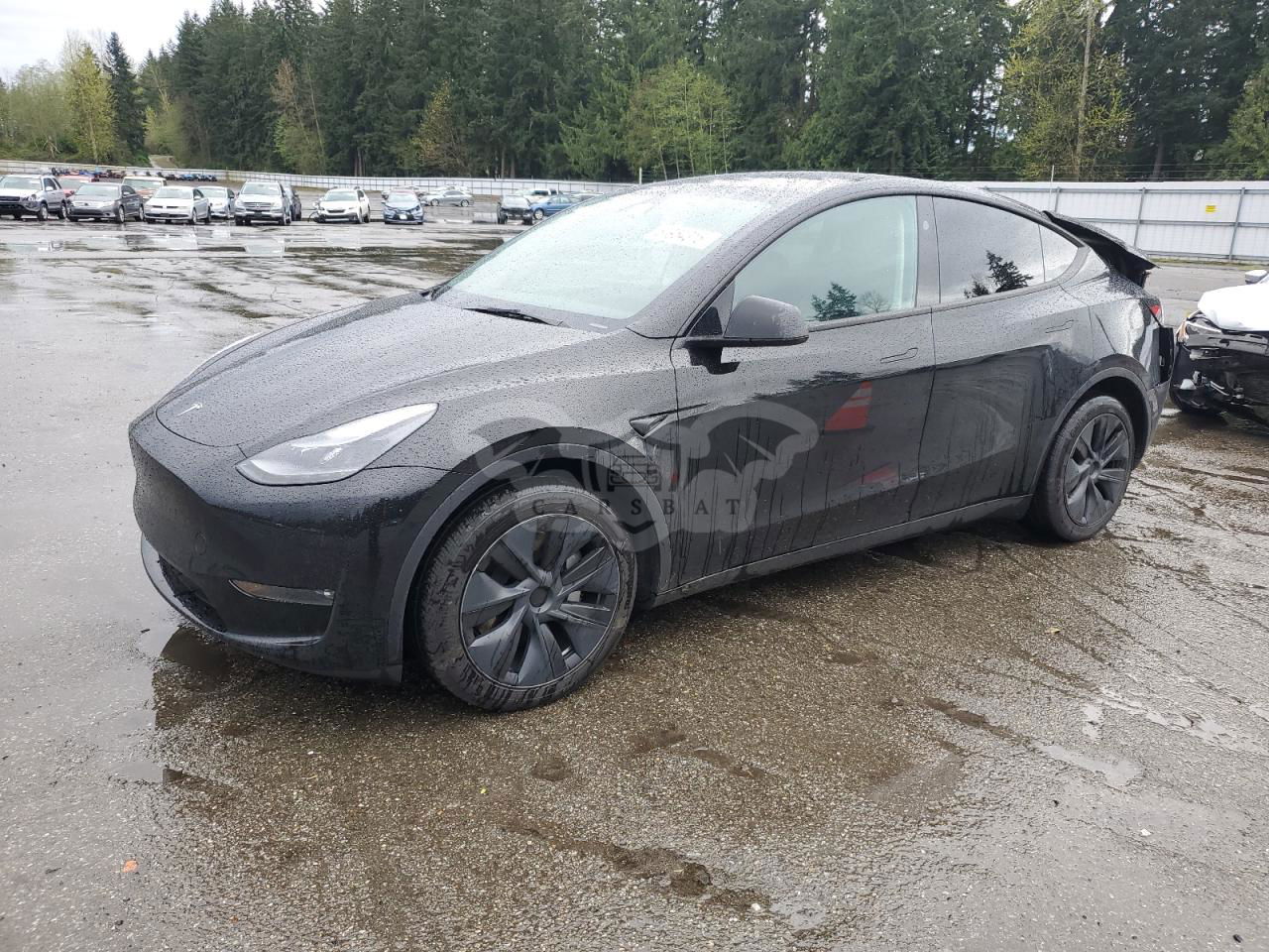 Tesla Model Y 2024