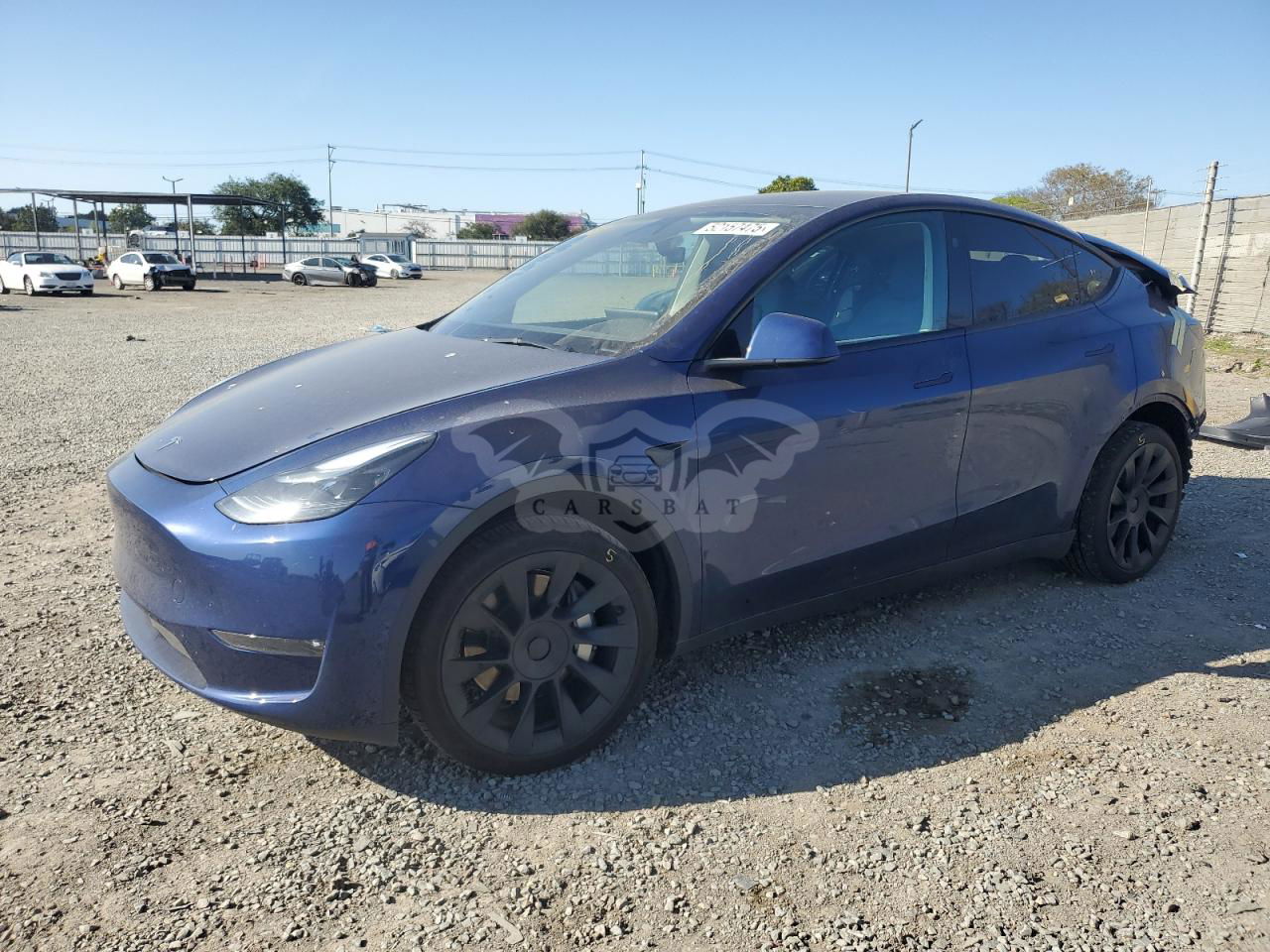 Tesla Model Y 2025