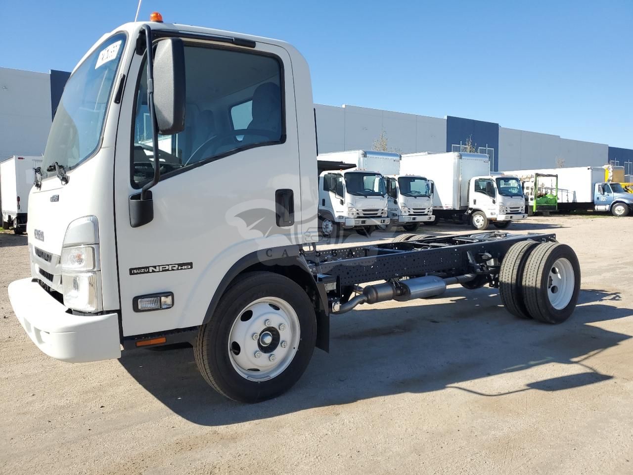 Isuzu NPR 6.6L 8 2024
