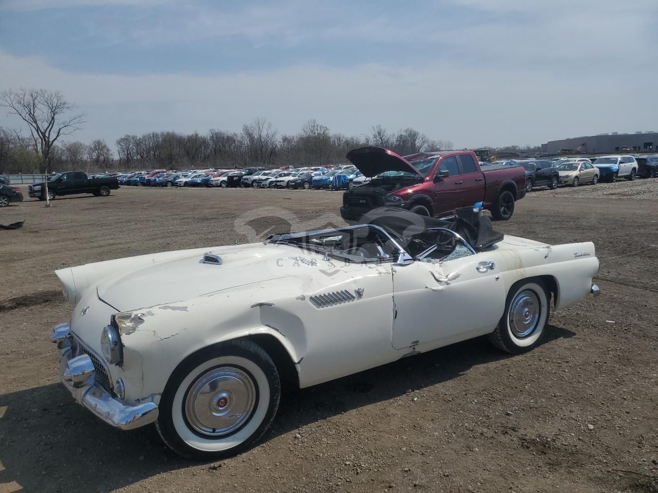 Ford Thunderbird 1955
