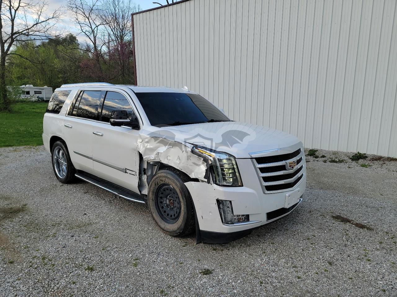 Cadillac Escalade PREMIUM LUXURY 6.2L  8 2019