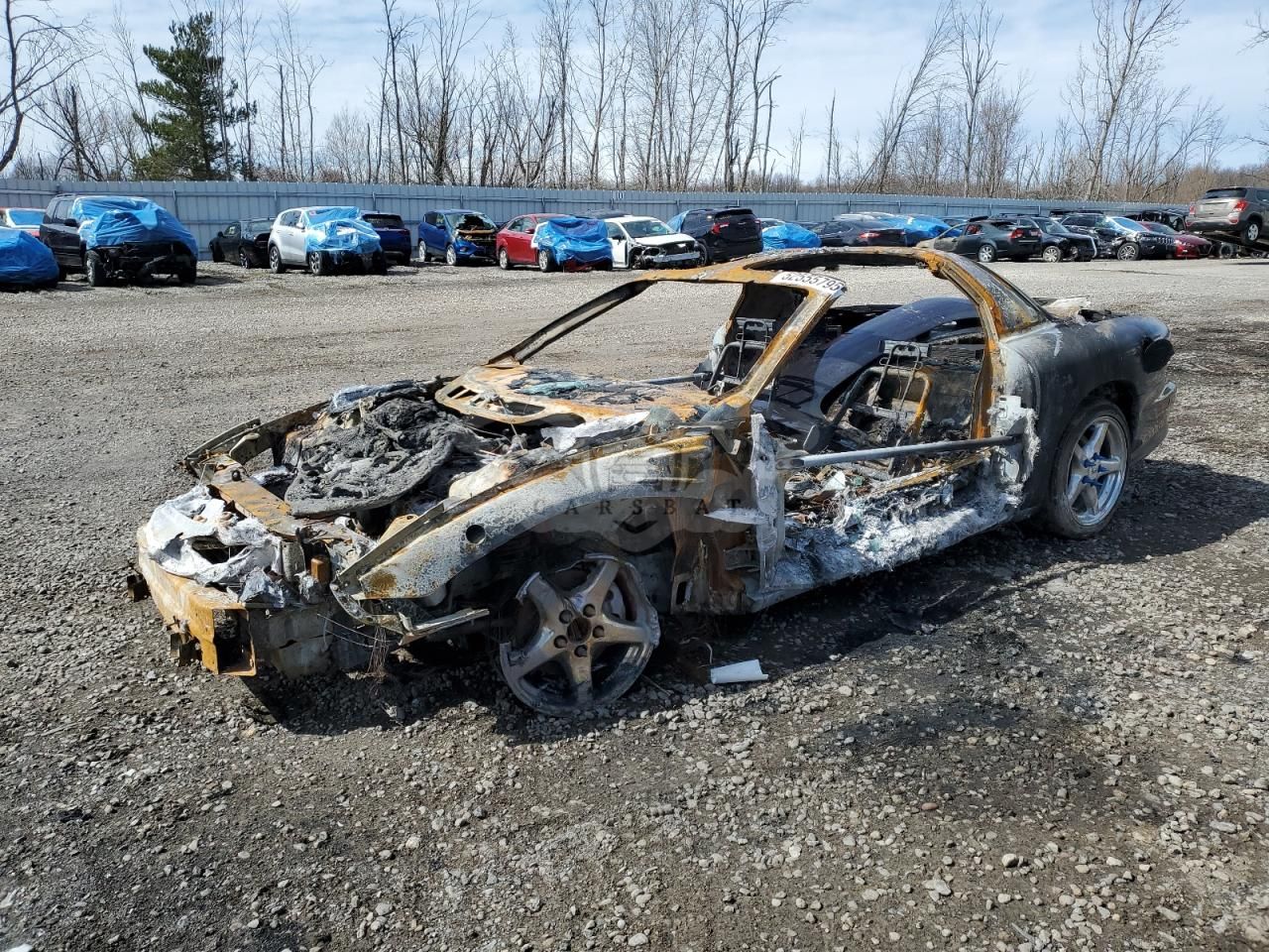 Pontiac Firebird FORMULA 5.7L 8 1999