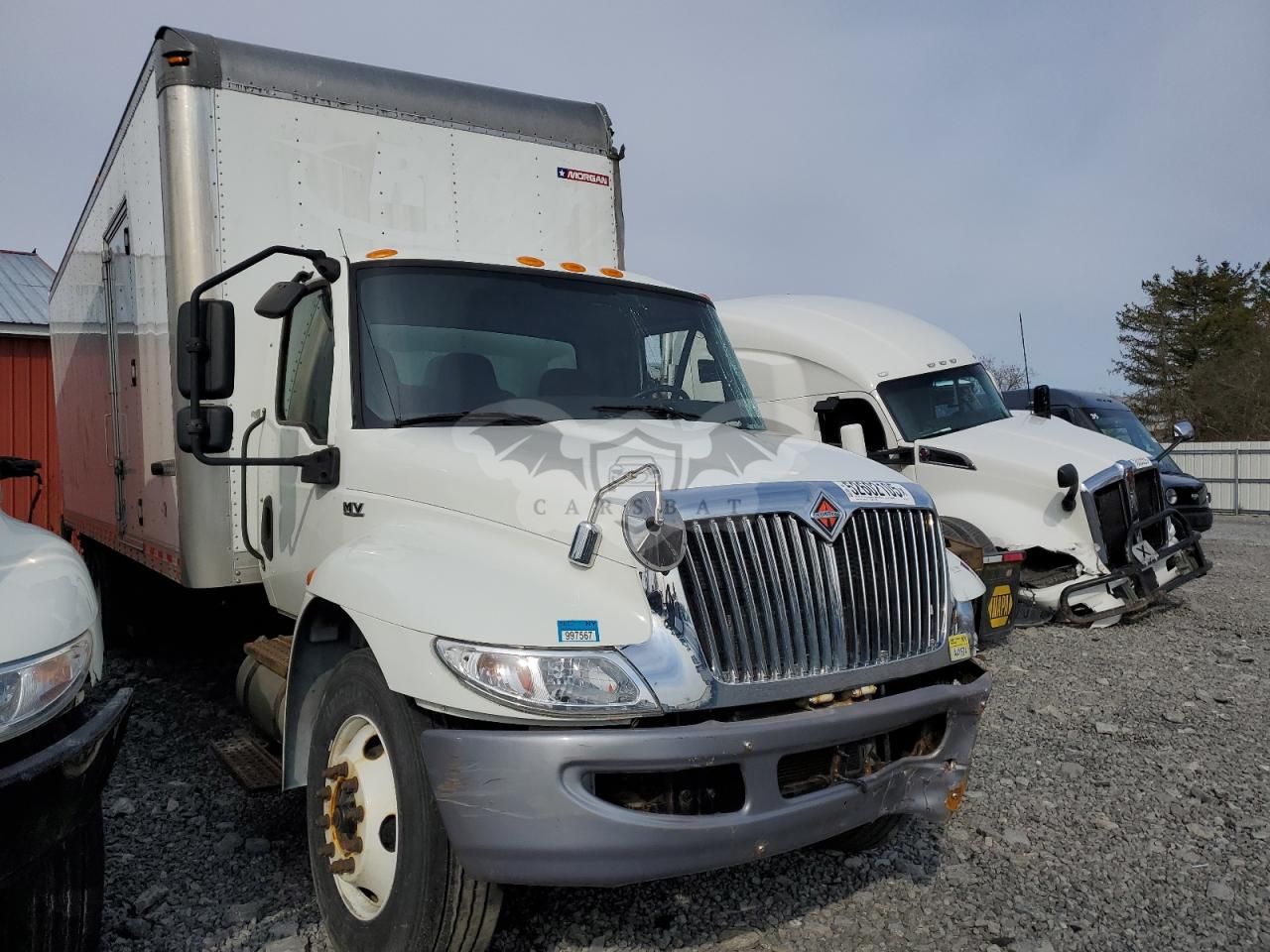 International MV Series 6.7L 6 2020