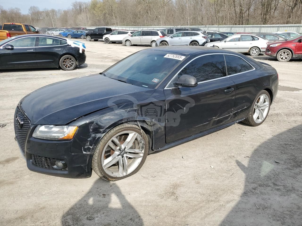 Audi S5 QUATTRO 4.2L 8 2009