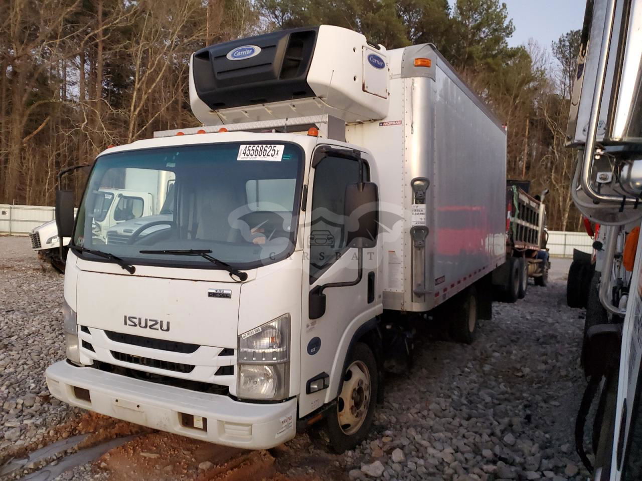 Isuzu NQR 5.2L  4 2017