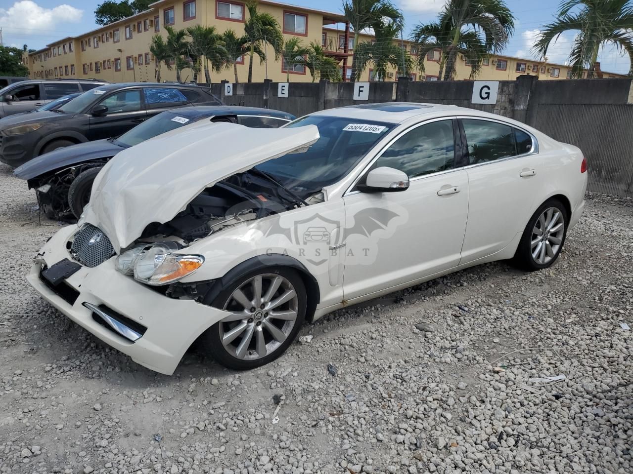Jaguar XF PREMIUM LUXURY 4.2L 8 2009