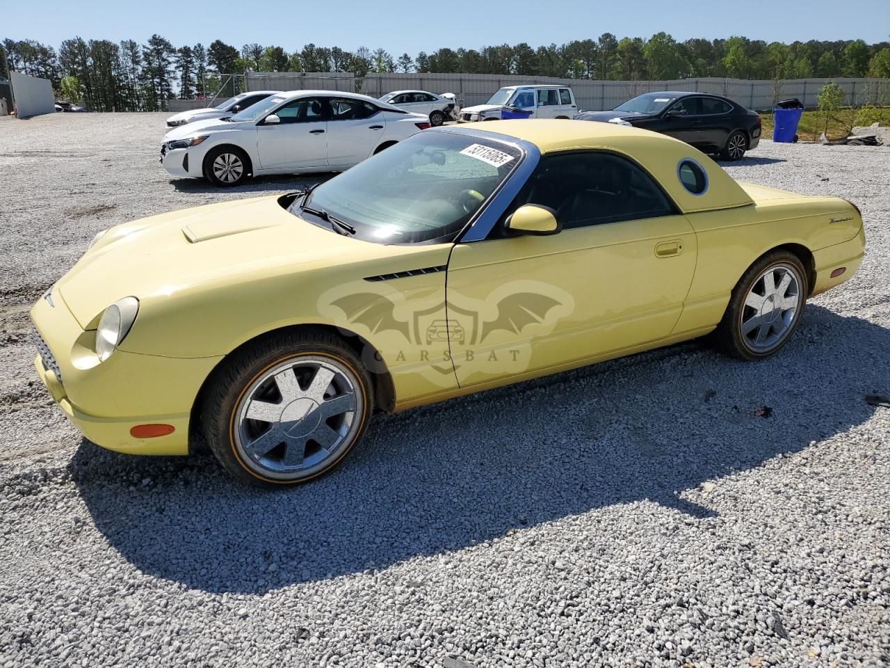 Ford Thunderbird 3.9L 8 2002