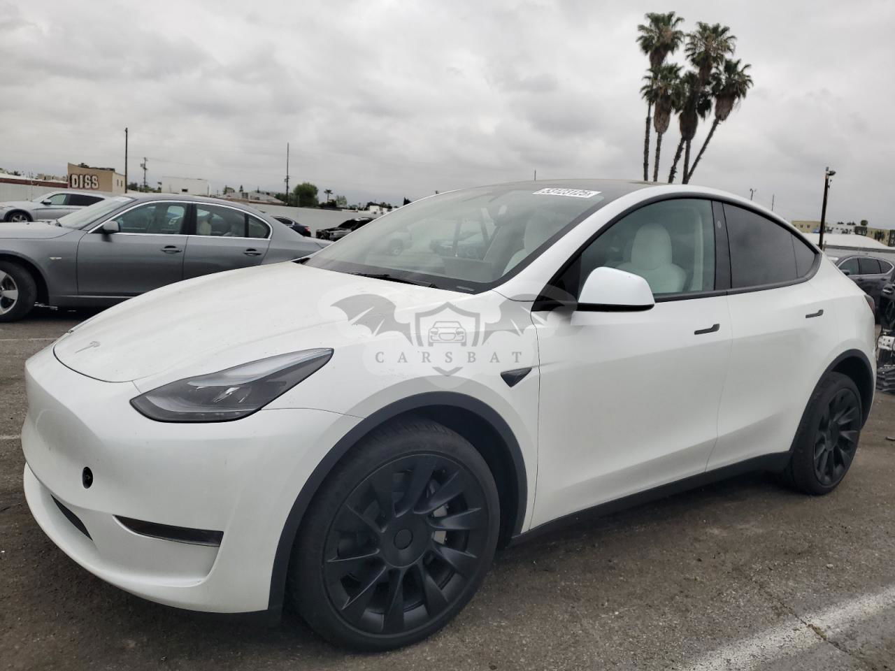Tesla Model Y 2025
