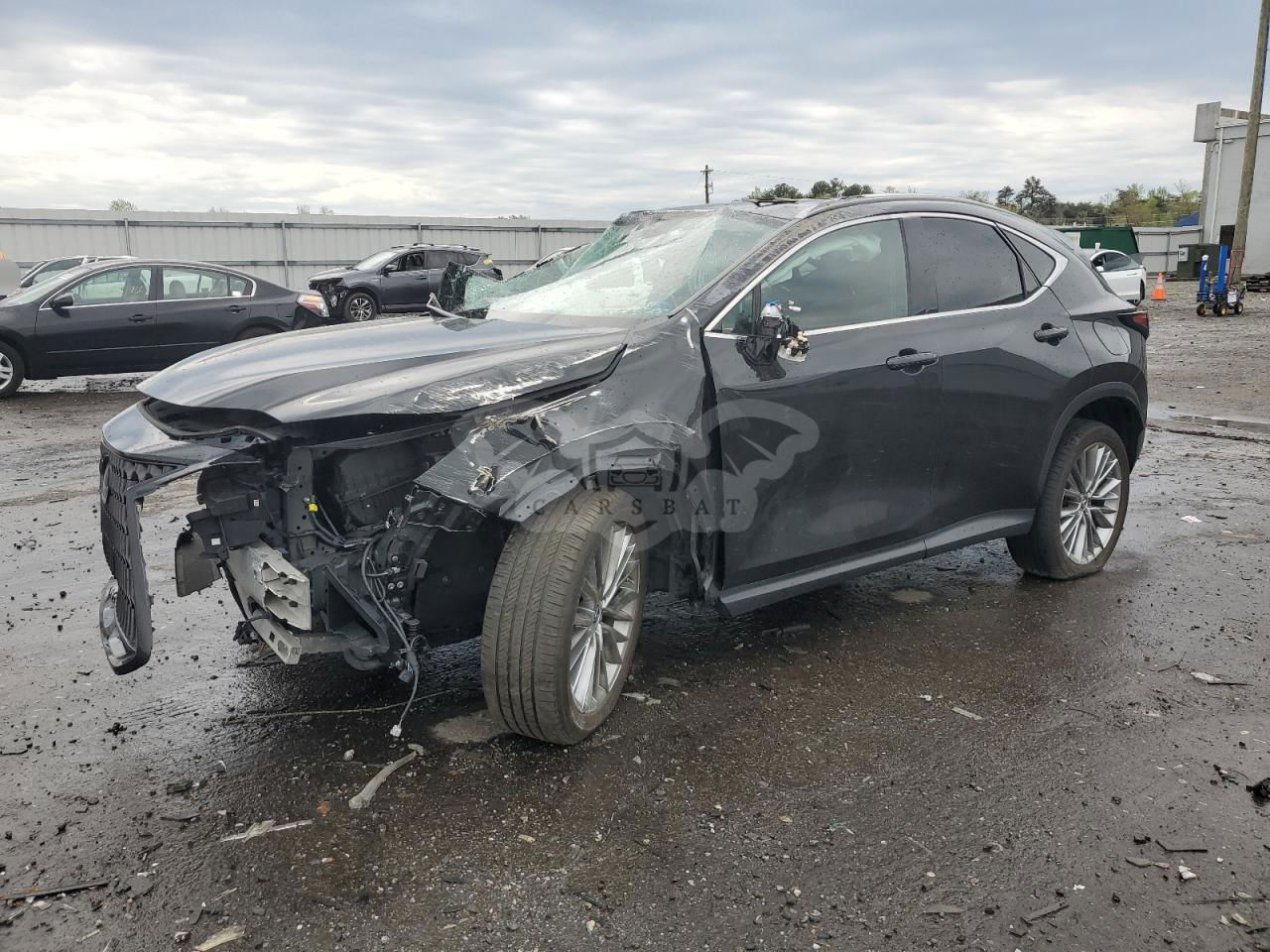 Lexus NX 350H 2.5L  4 2022