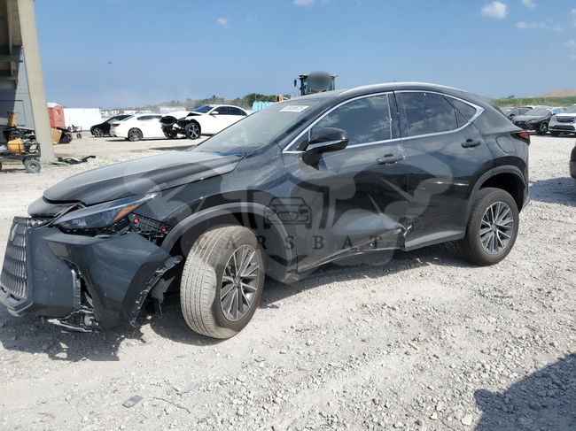 Lexus NX 250 PREMIUM 2.5L  4 2025