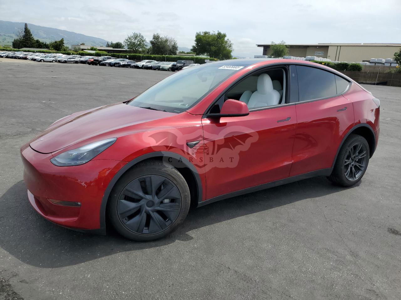 Tesla Model Y 2025