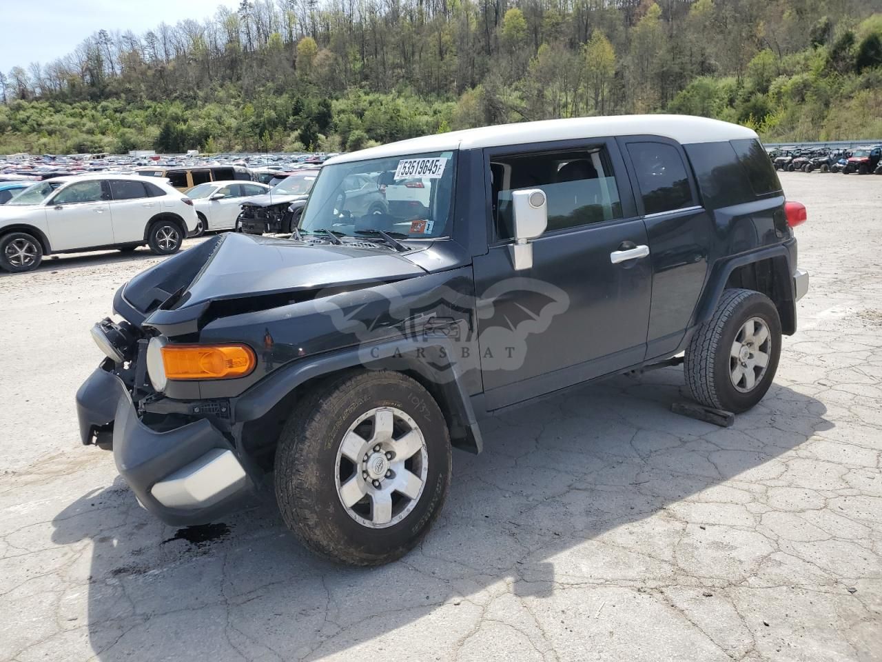 Toyota FJ Cruiser 4.0L 6 2007