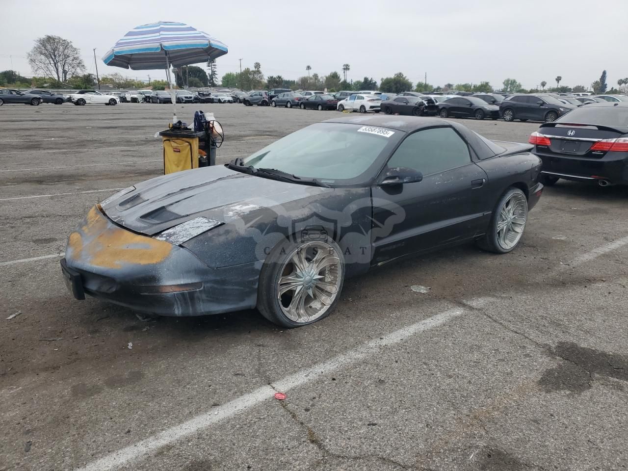 Pontiac Firebird 3.4L 6 1995
