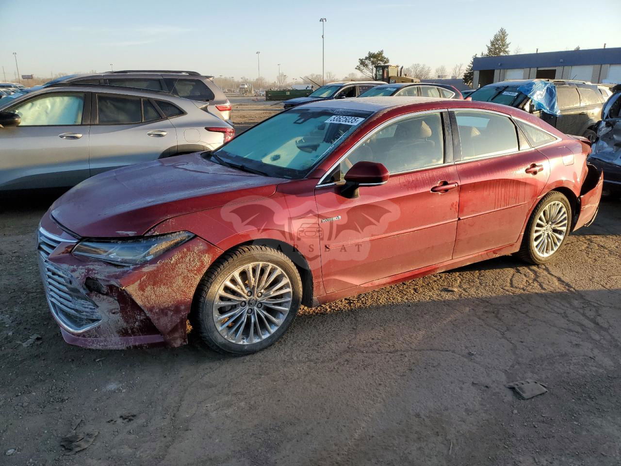 Toyota Avalon XLE 2.5L  4 2019