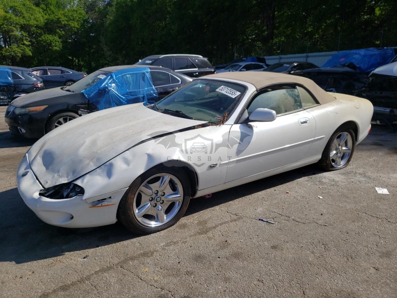 Jaguar XK 4.0L 8 1999