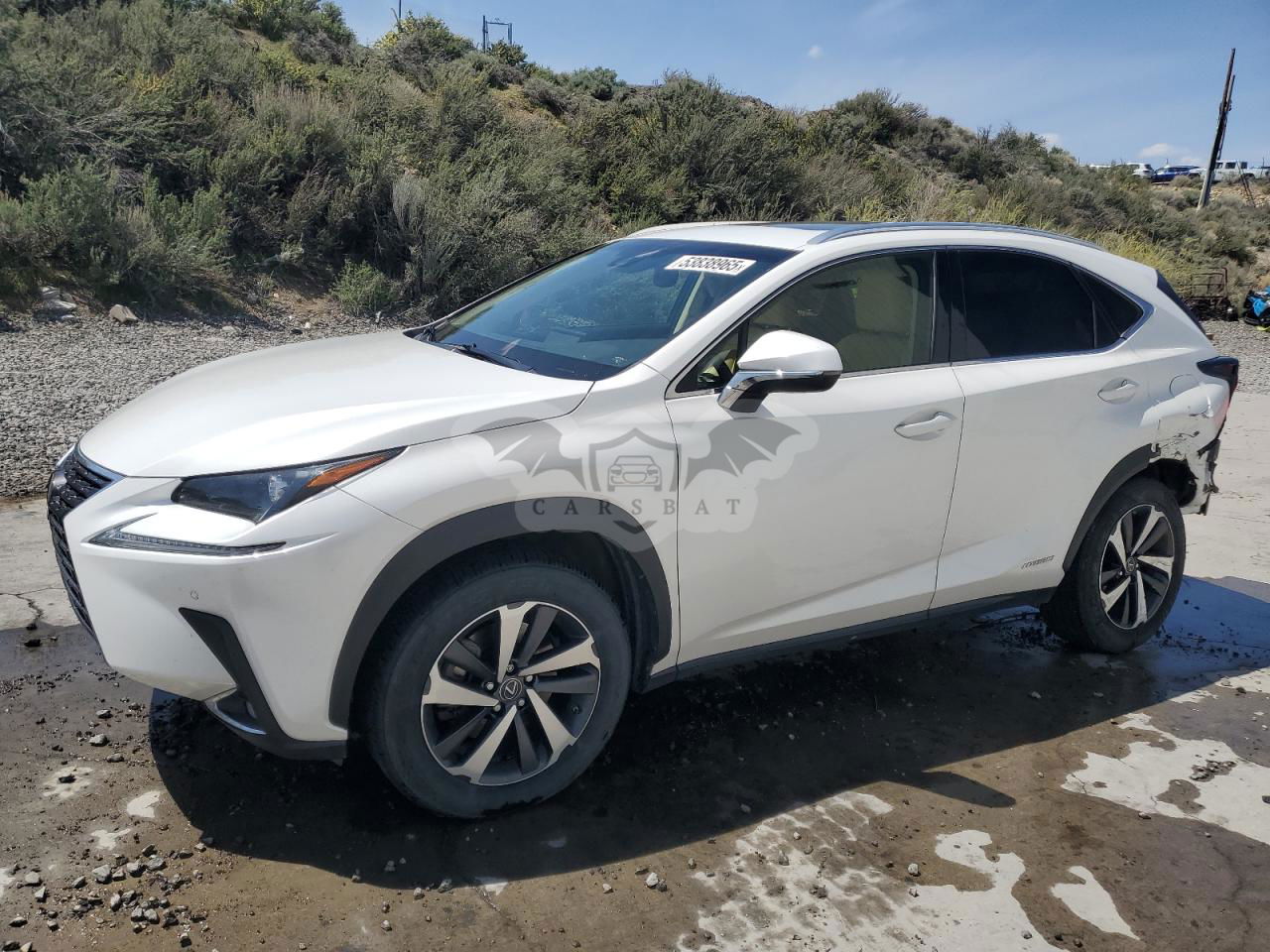 Lexus NX 300H 2.5L  4 2018