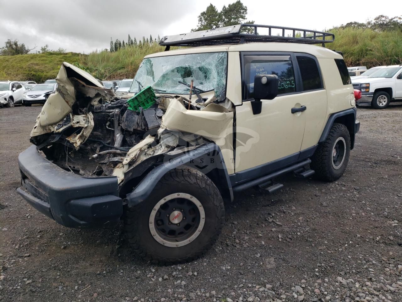 Toyota FJ Cruiser 4.0L 6 2010