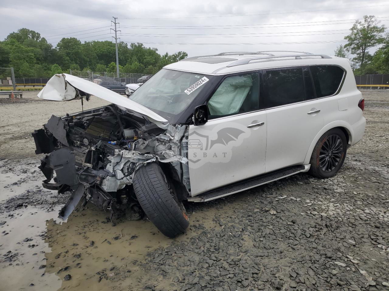 Infiniti QX80 2022