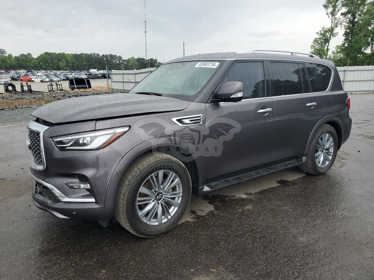Infiniti QX80 2022