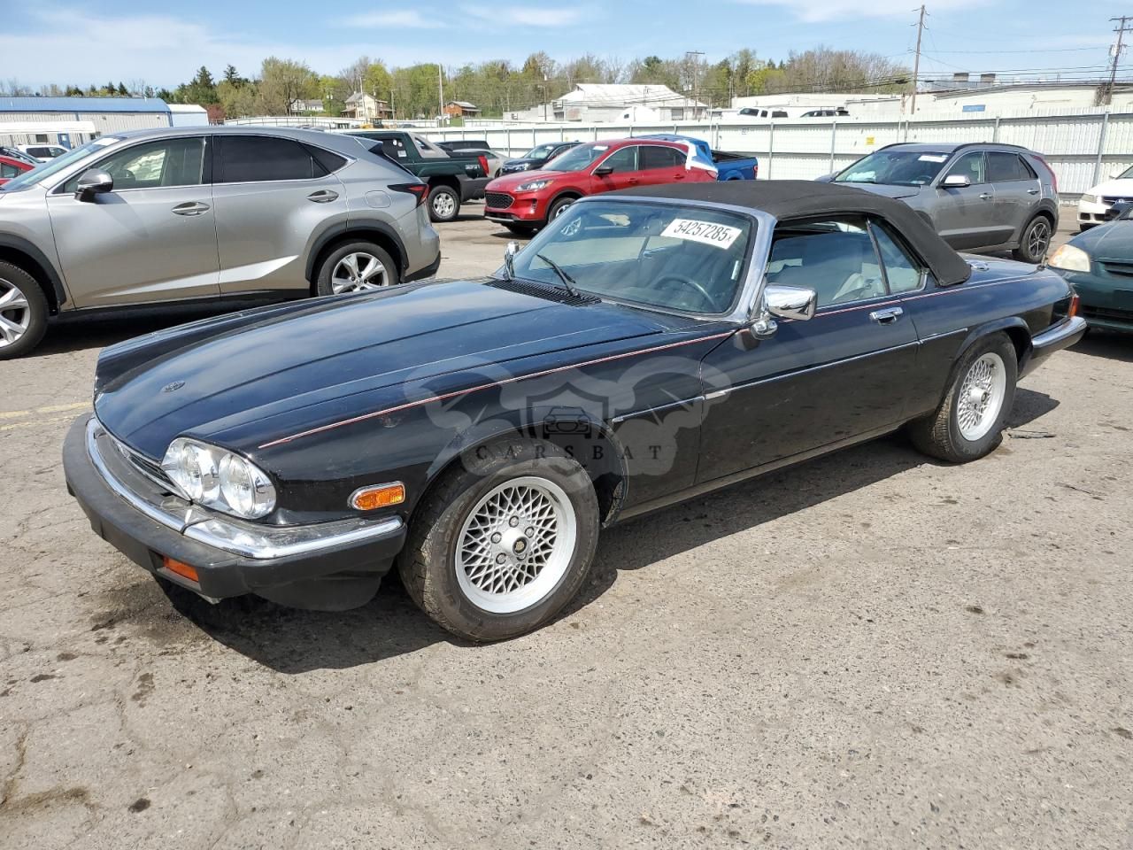 Jaguar XJS 5.3L 12 1989