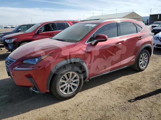 Lexus NX 300H 2.5L  4 2019
