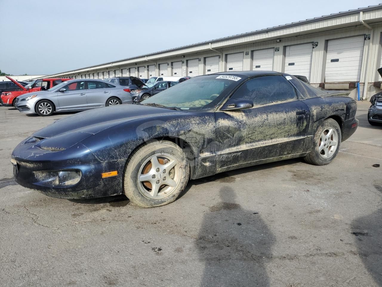 Pontiac Firebird 3.8L 6 1999