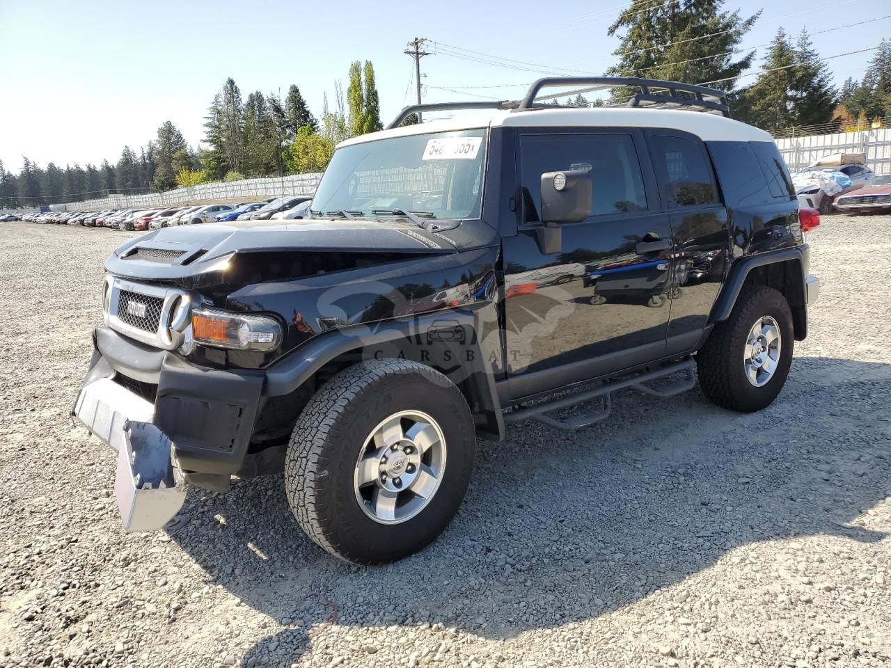 Toyota FJ Cruiser 4.0L 6 2010
