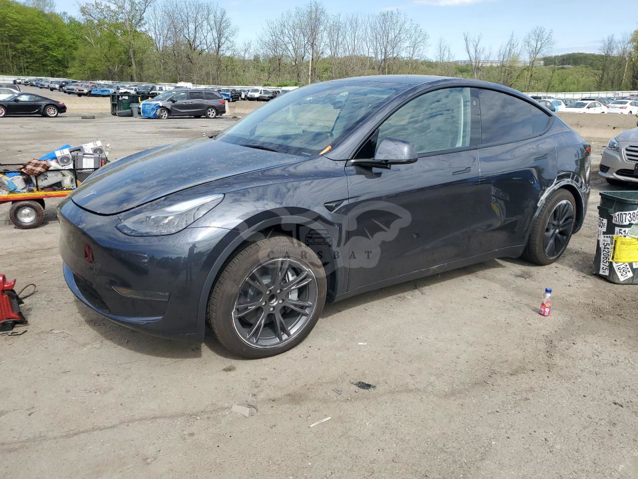 Tesla Model Y 2025