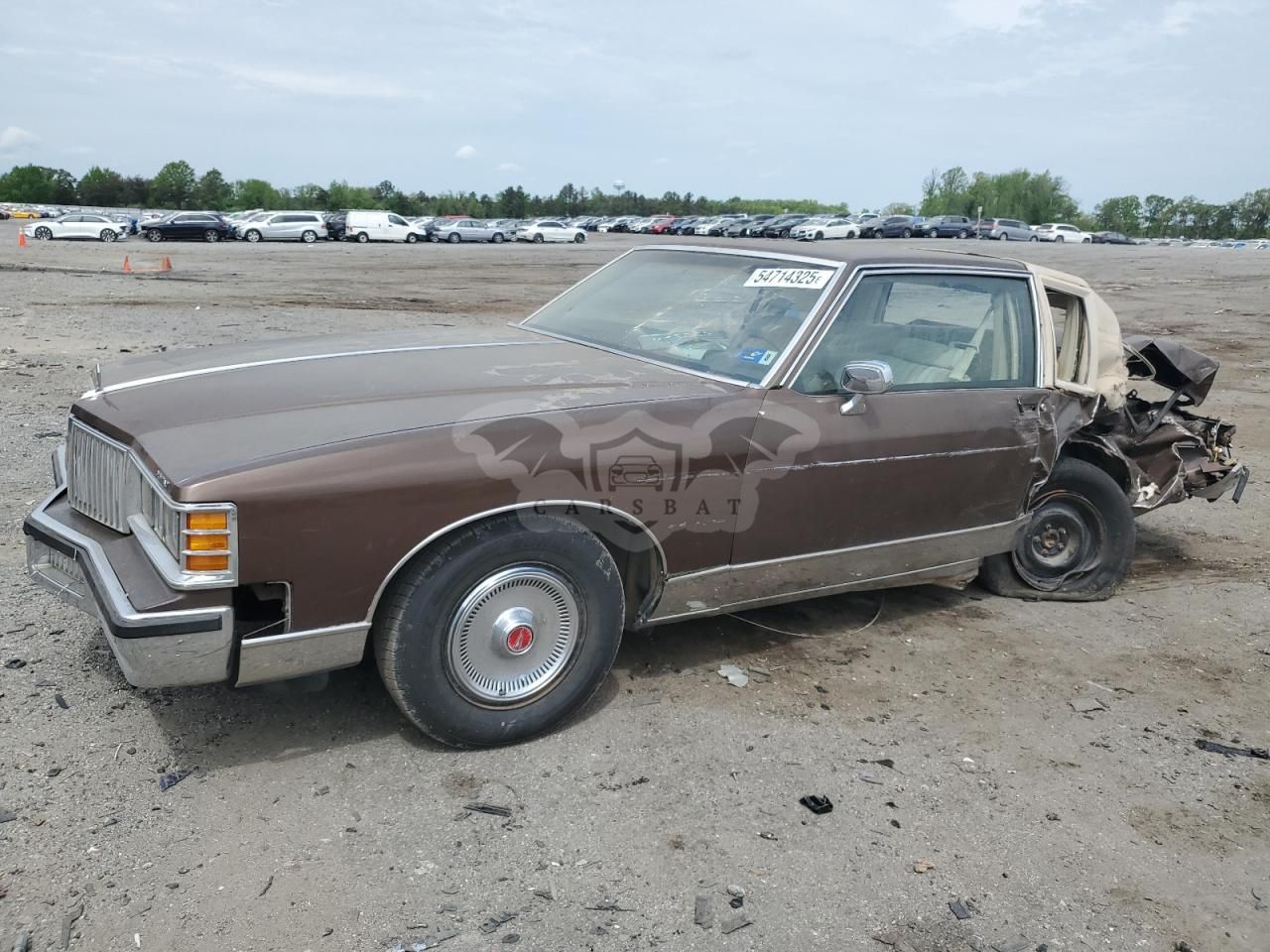 Pontiac Bonneville 5.0L 8 1981