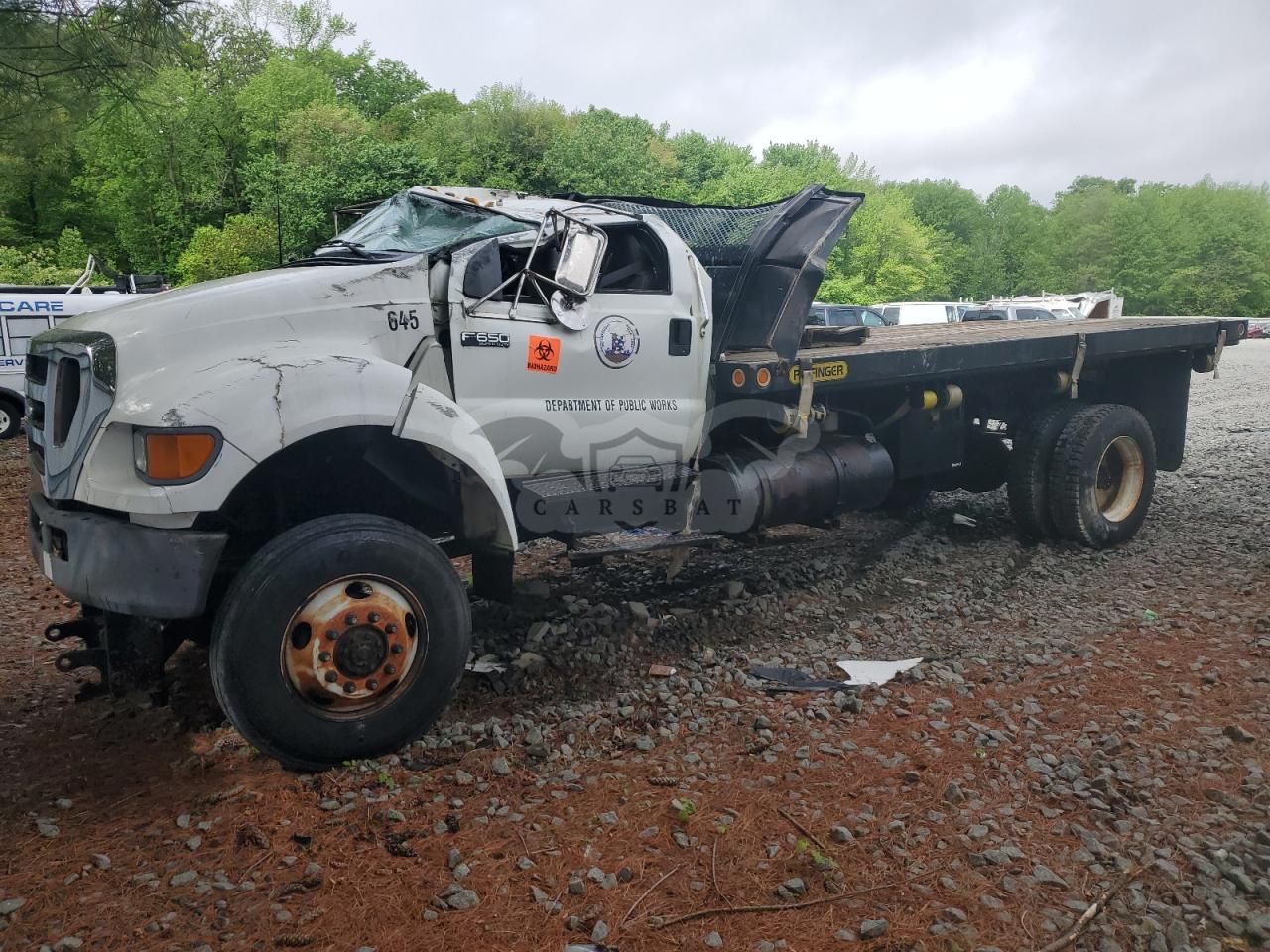 Ford F650 SUPER DUTY 8 2004