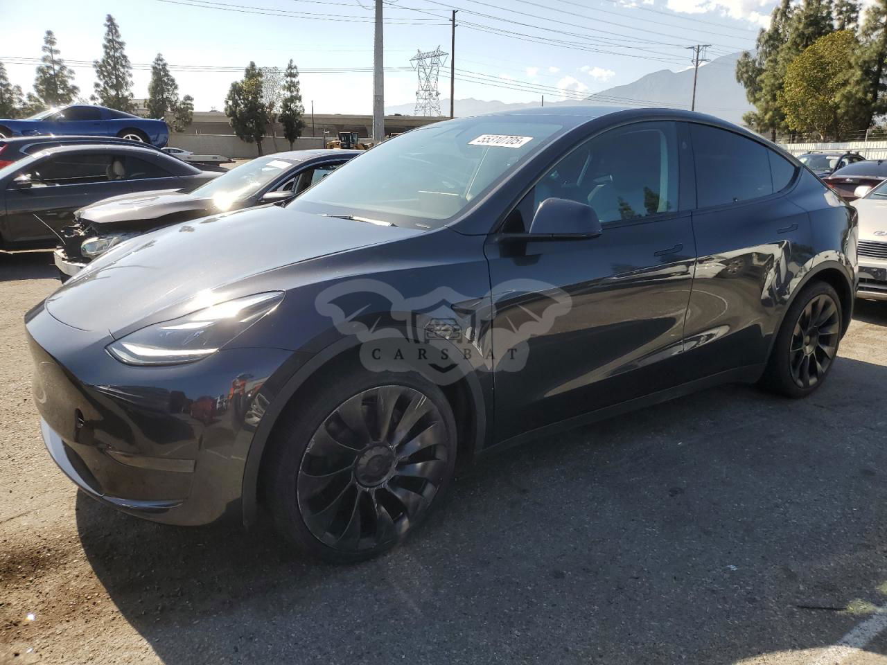 Tesla Model Y 2024