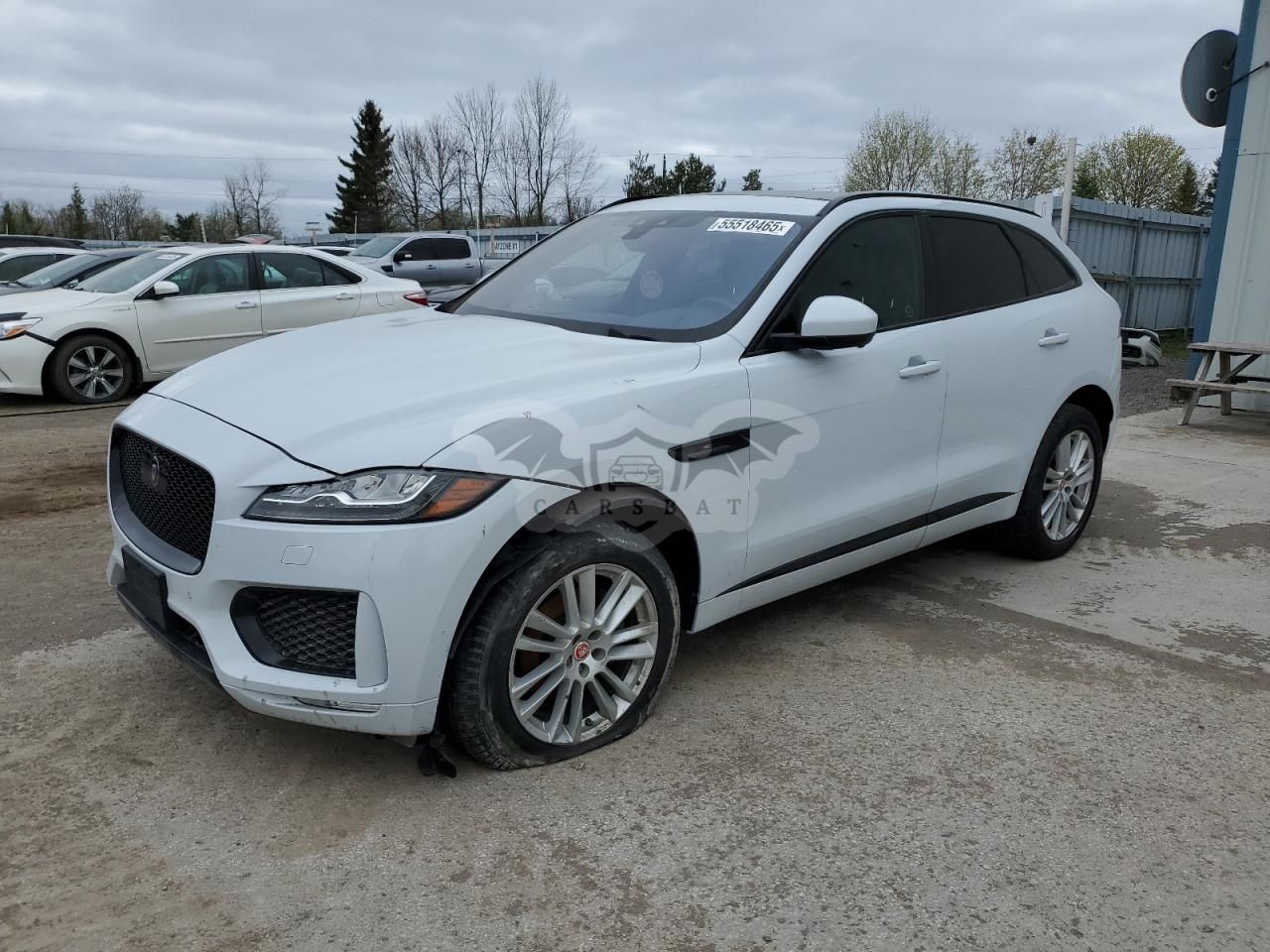 Jaguar F-Pace CHECKERED FLAG 2.0L 4 2020