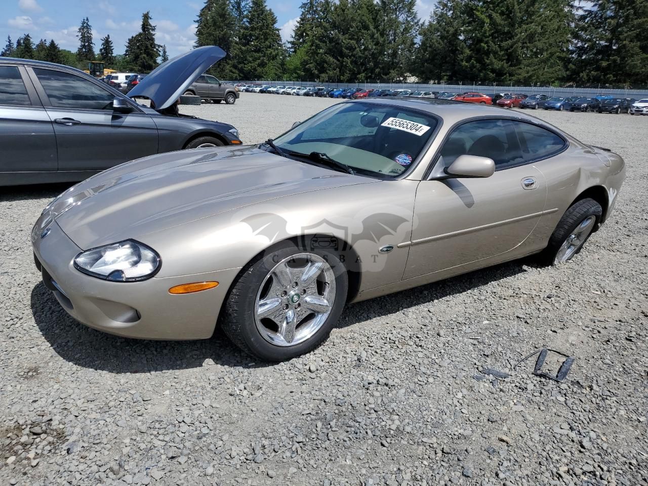 Jaguar XK 4.0L 8 1997