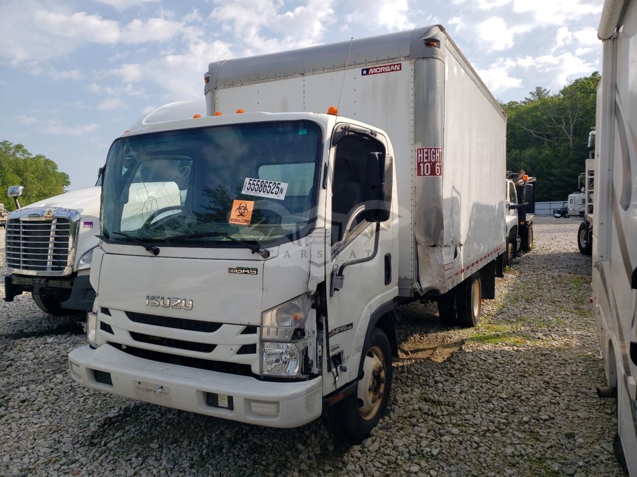 Isuzu NPR 6.0L 8 2019