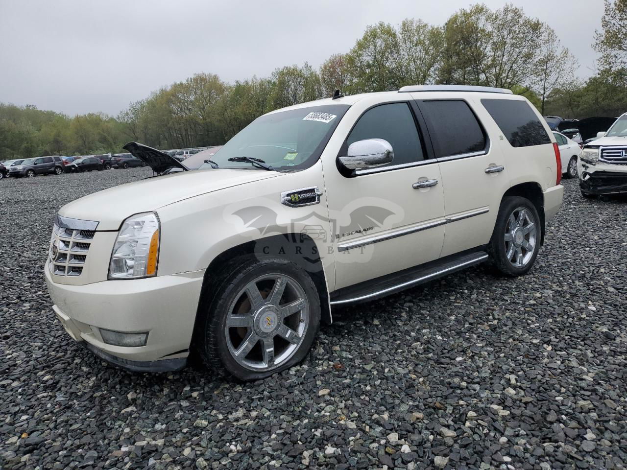 Cadillac Escalade HYBRID 6.0L  8 2009