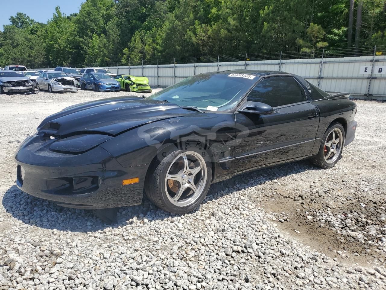 Pontiac Firebird FORMULA 5.7L 8 1999