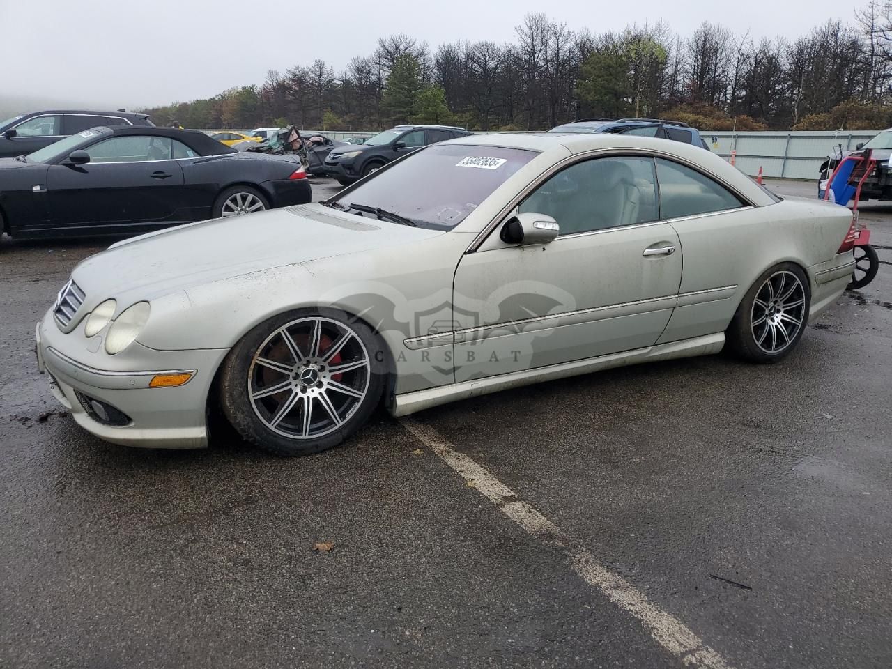 Mercedes-Benz CL 500 5.0L 8 2004