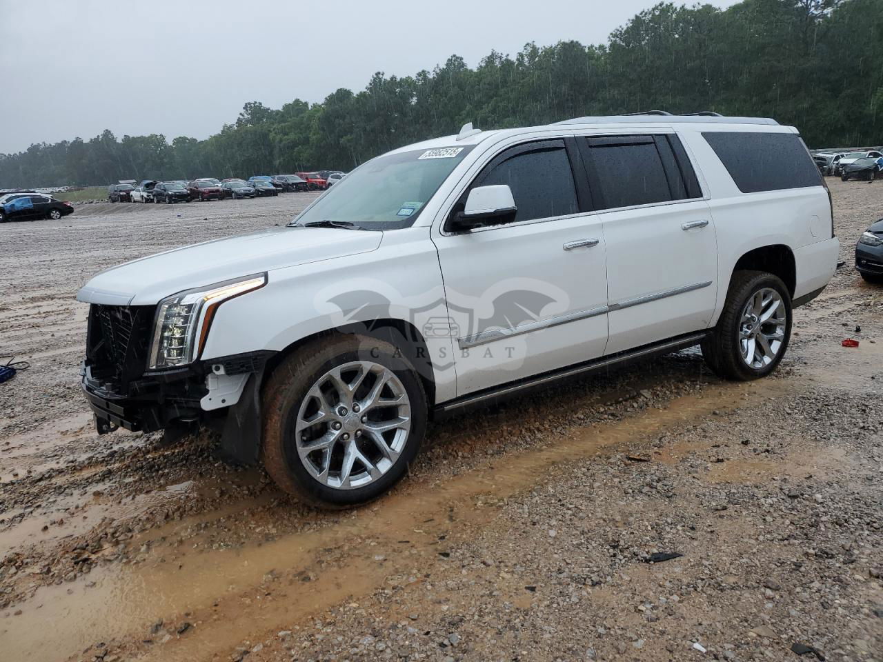 Cadillac Escalade ESV PLATINUM 6.2L  8 2019