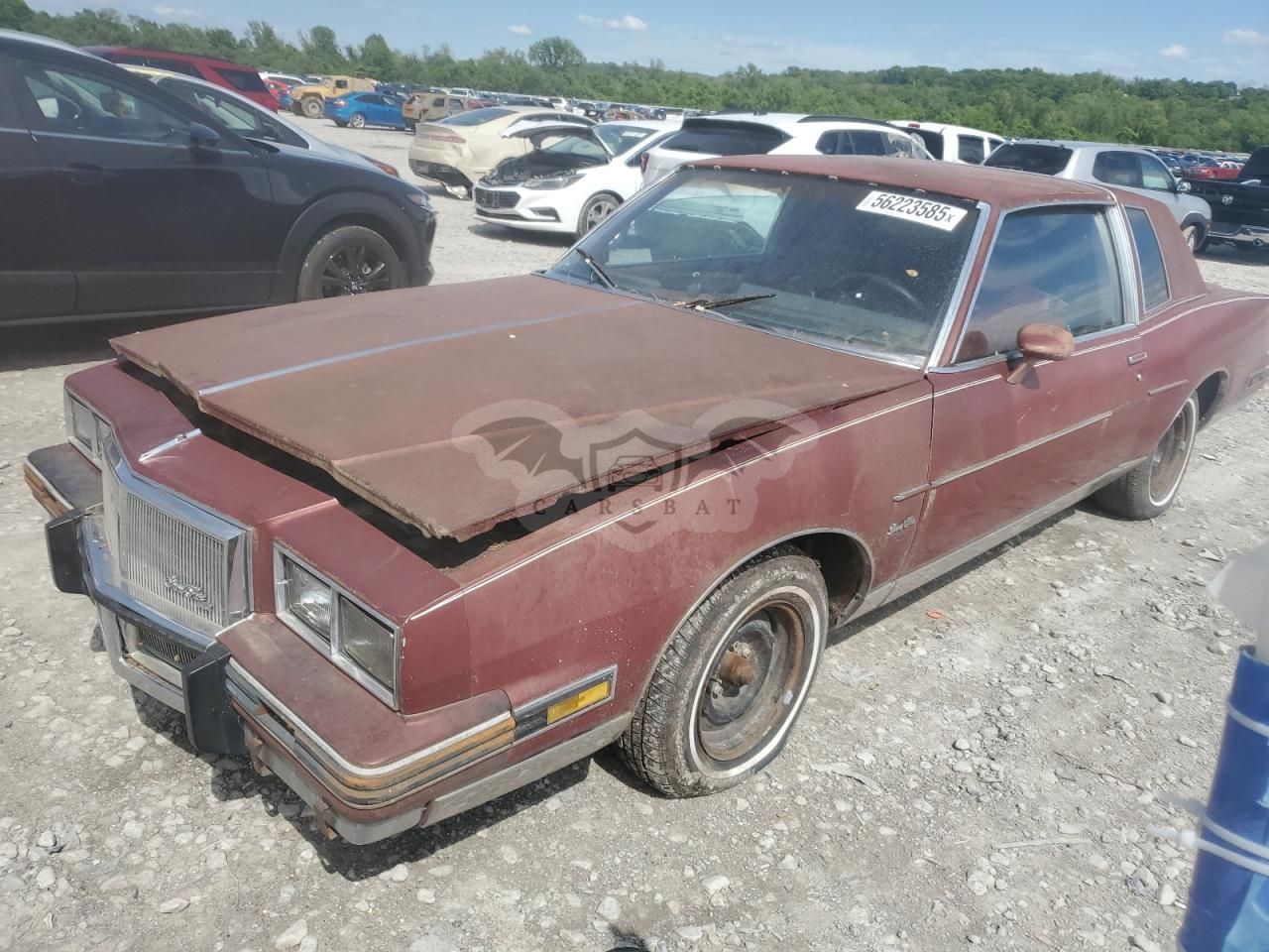 Pontiac Grand Prix LJ 3.8L 6 1981